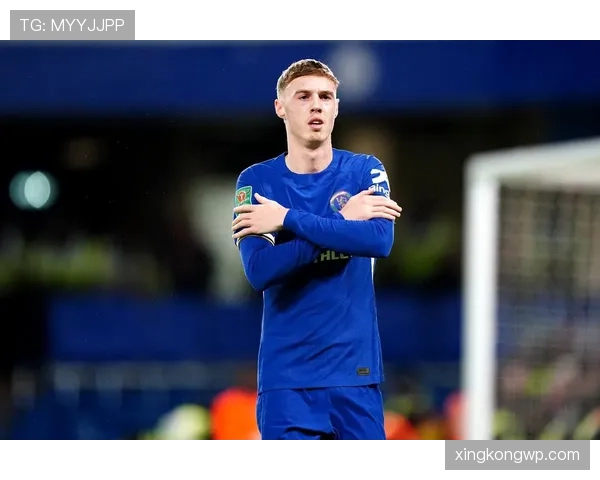 帕尔默是否被高估：数据与战术价值解析