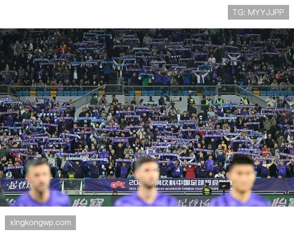 上海申花外援主导进攻现象及核心输出依赖，阶段性表现受限与球队稳定性面临考验