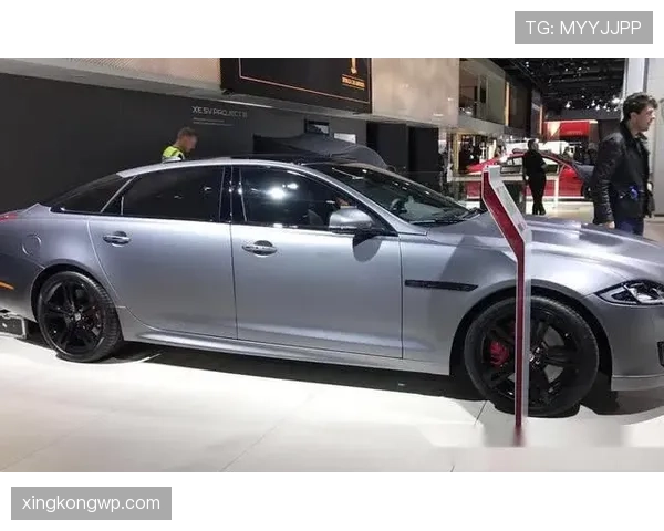 辛德胡这日常花销，感觉直接能买一辆豪车了吧？